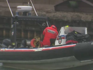 Toronto Police Recover Body Of Woman After Car Plunged Into Lake Ontario