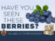 Thief In Hamilton Makes Off With $100K In Blueberries