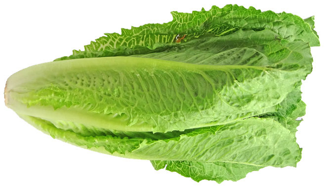 Outbreak of E. Coli Linked To Romaine Lettuce ‘Appears To Be Over’