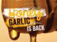 Swiss Chalet Welcomes Back Honey Garlic Chicken