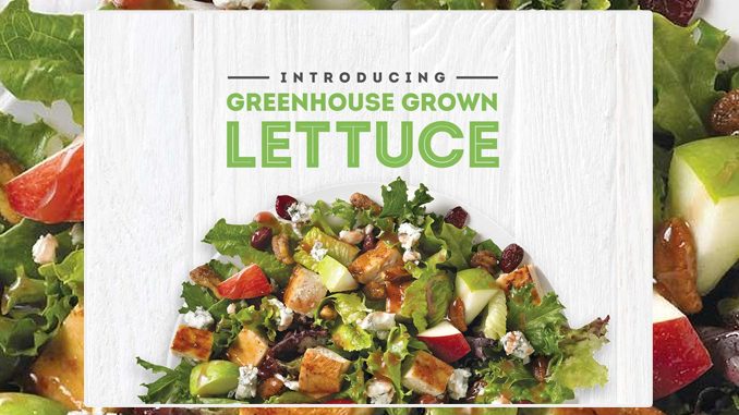 Wendy’s Canada Introduces New Greenhouse Grown Lettuce