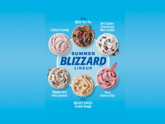 Dairy Queen Canada Launches 2022 Summer Blizzard Menu With Two New Flavours